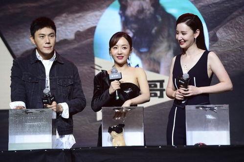 娱乐圈吃瓜合集最新  第2张